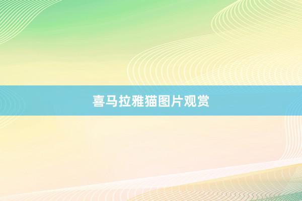 喜马拉雅猫图片观赏